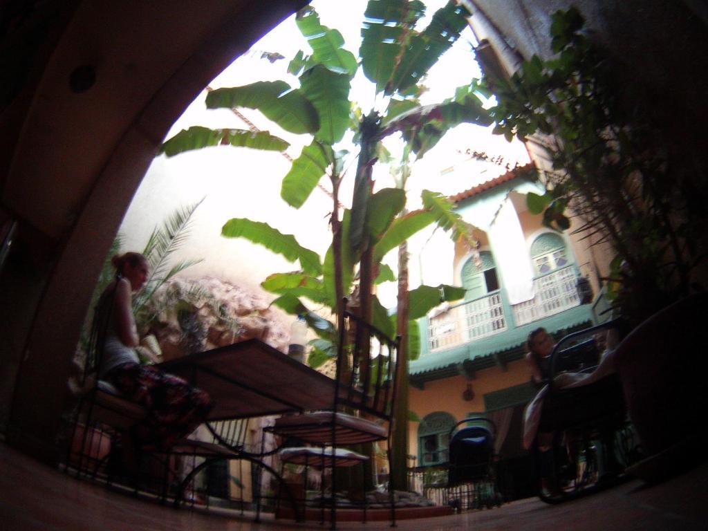 Riad Dar Mchicha Marrakesh Esterno foto