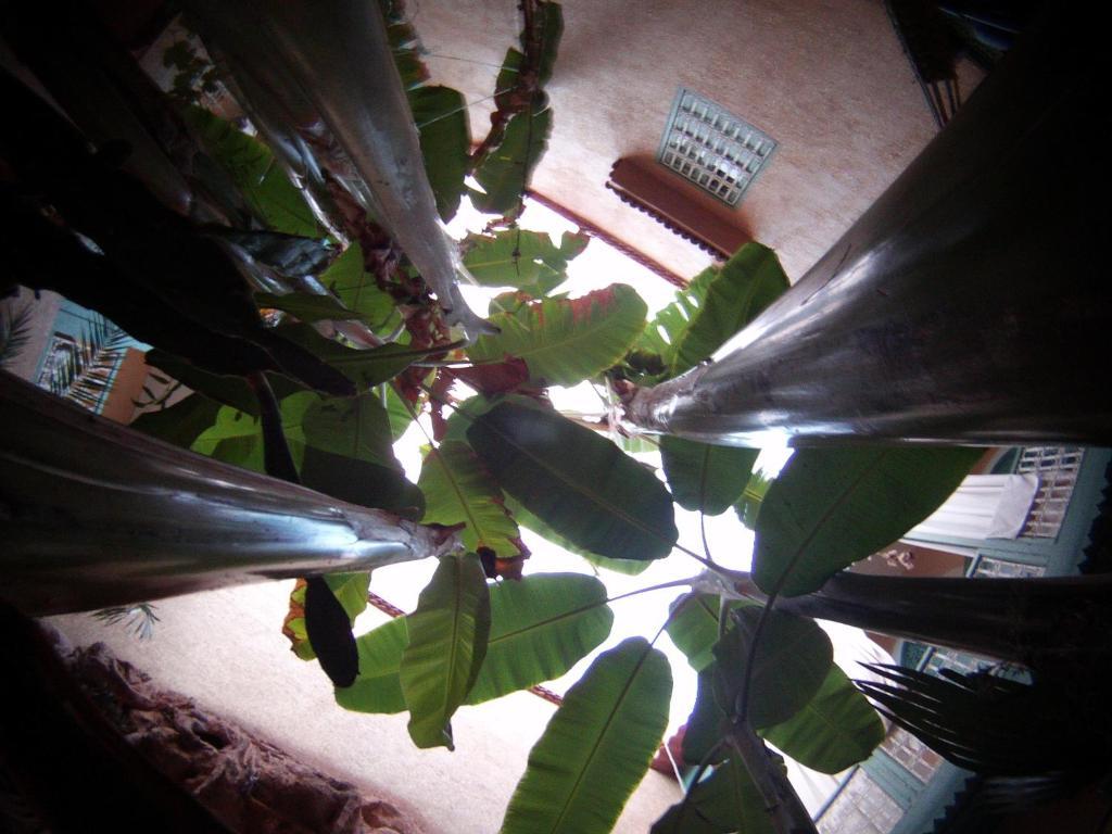 Riad Dar Mchicha Marrakesh Esterno foto