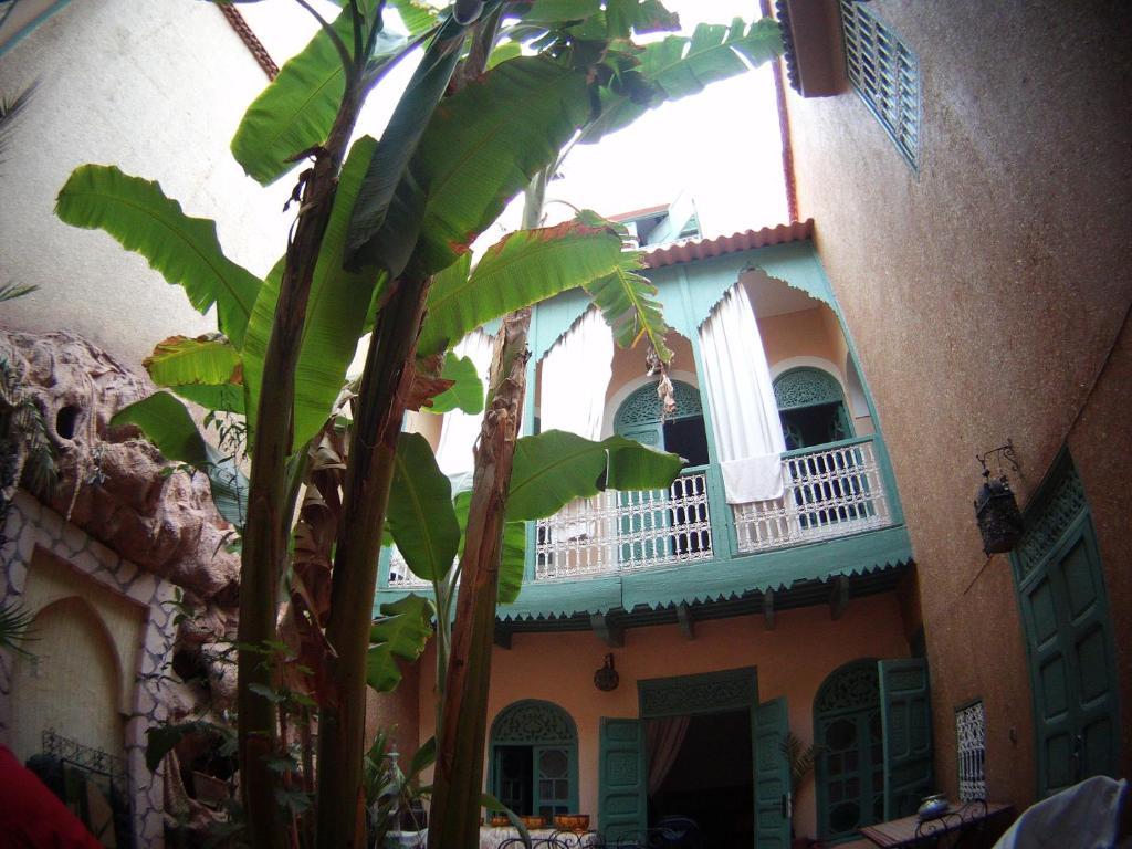 Riad Dar Mchicha Marrakesh Esterno foto