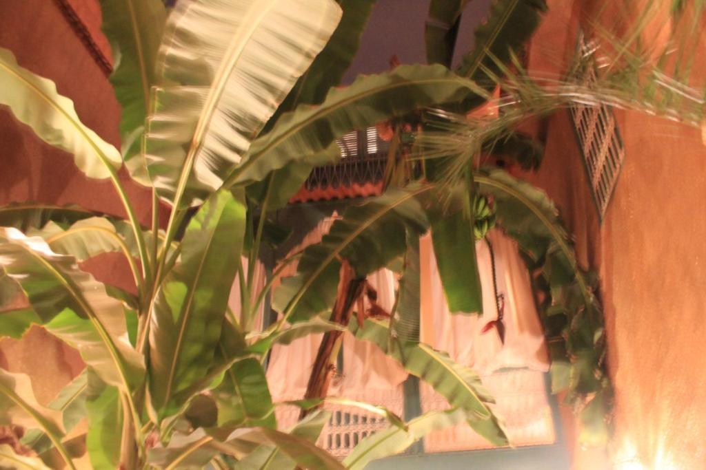 Riad Dar Mchicha Marrakesh Esterno foto
